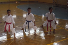 sam_1871